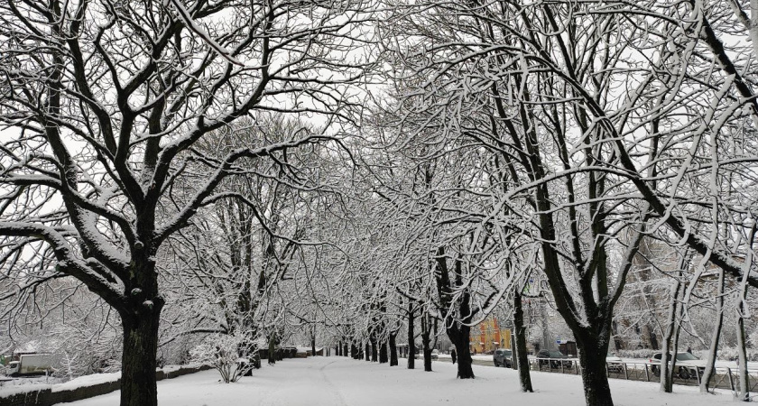 Первый снег в Татарстане: синоптик озвучил прогноз на начало ноября