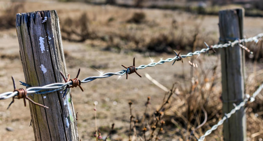 Челнинский «Арарат» под колючей проволокой: владелец ищет способ остановить непрошенных гостей