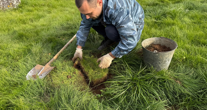 Вношу эти удобрения осенью — и к весне почва становится жирной и плодородной. Совет агронома с 30-летним стажем