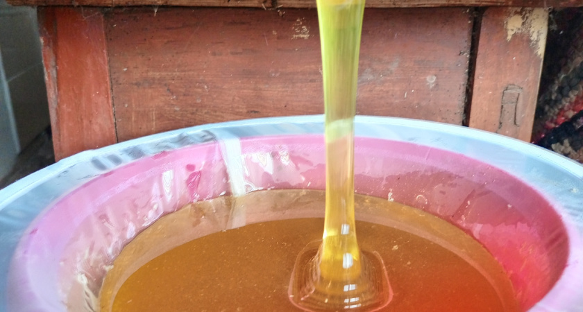 В аэропорту Казани пресечён ввоз немаркированного мёда из Туркменистана