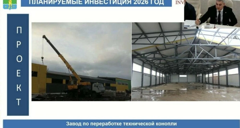 100 миллионов рублей вложат в завод по переработке конопли в Муслюмовском районе