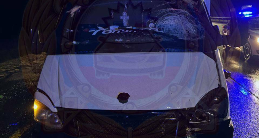 Выбежал на трассу и погиб: в Татарстане все участники ДТП нарушили ПДД