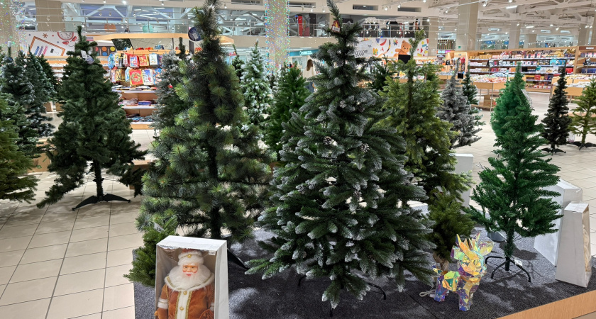 Новогодние выходные 2025-2026 снова перенесли: как на этот раз будут отдыхать россияне - точный график