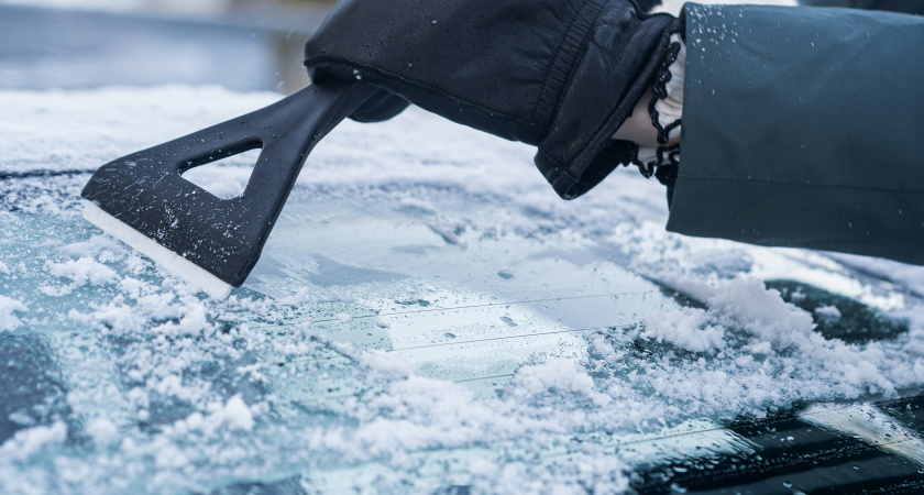 Протираю лобовое стекло этим овощем и забываю о наледи - всю зиму езжу без забот