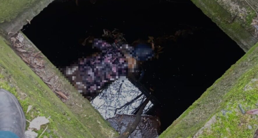 В поселке Васильево под Казанью нашли в колодце тело мертвой женщины