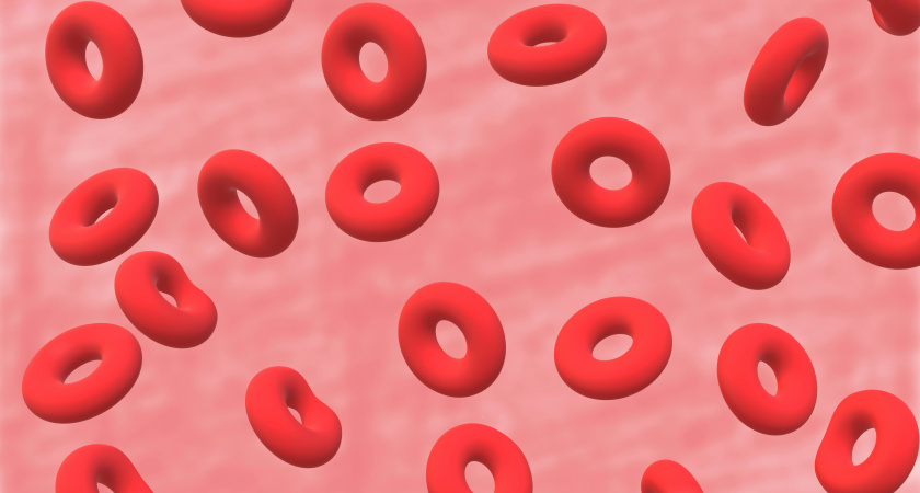 Научный взгляд: почему группа крови не определяет интеллект человека