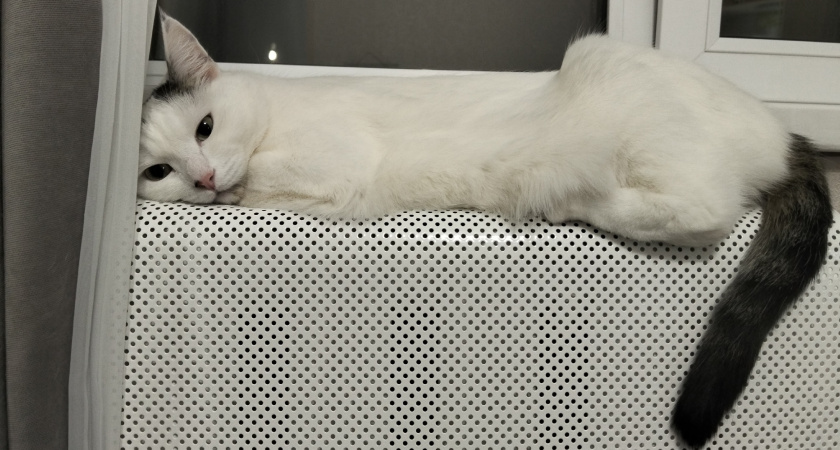 Почему нельзя сушить белье после стирки на батарее: большинство даже не догадывается о причинах