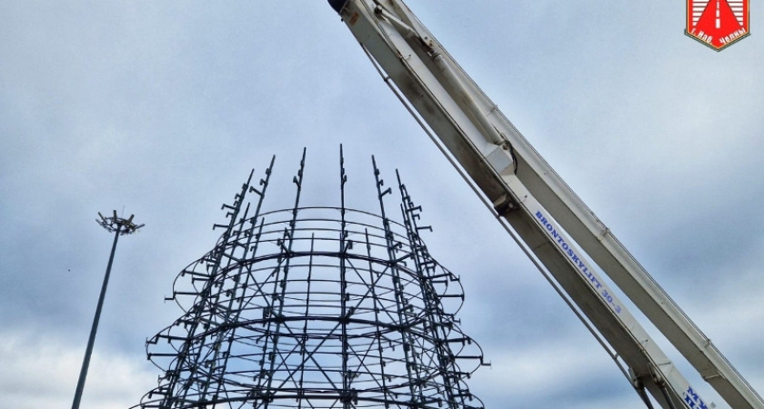 В Набережных Челнах приступили к монтажу новогодней елки