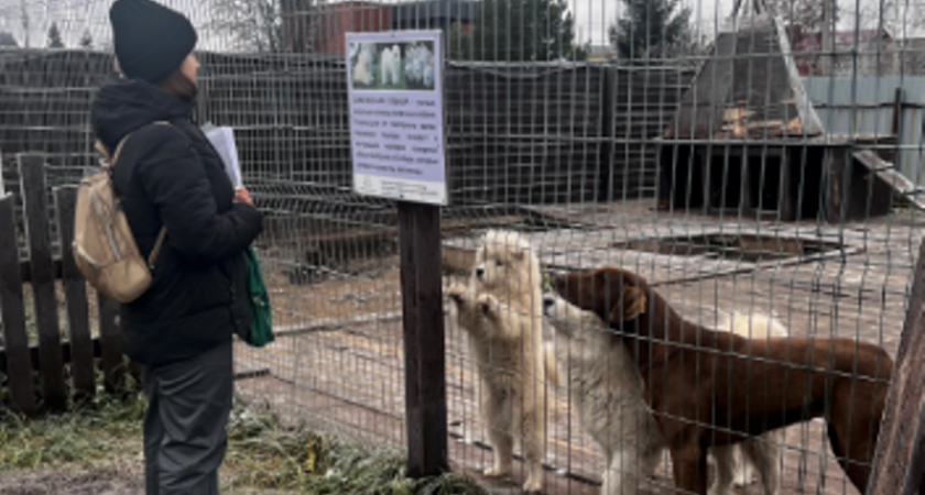 Животных в частном зоопарке Елабужского района содержат с нарушениями