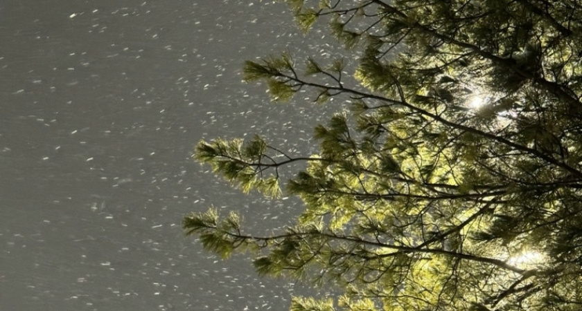 Снежная каша и сильный гололед: 16 ноября погода в Татарстане резко ухудшится