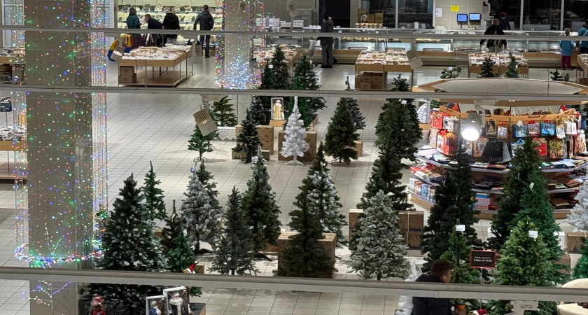 Новый год 2026 по фэн-шуй: где правильно ставить ёлку и что нельзя делать в ночь Огненной Лошади