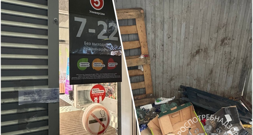 В Казани закрыли магазин из-за нашествия крыс