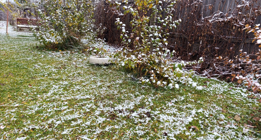 В понедельник в Набережных Челнах прогнозируют дождь со снегом