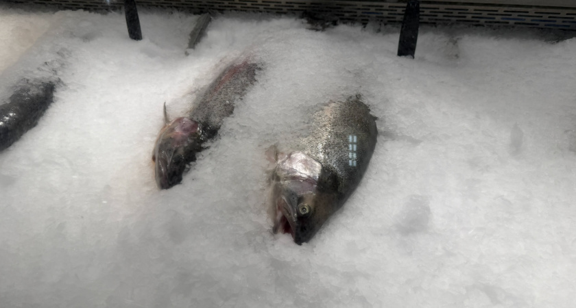 Взял форель в "Светофоре" для засолки икры и только дома понял, какая она на самом деле: честный отзыв