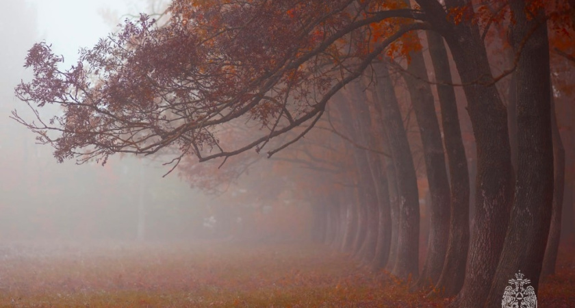 Водителей Татарстана предупредили о тумане на дорогах