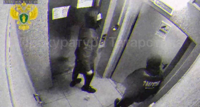 В Казани возбудили уголовное дело из-за разгрома надземного перехода