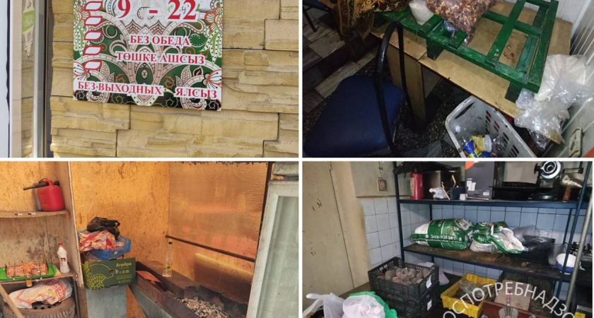 Кафе в Альметьевске закрыли на 90 дней из-за грубых нарушений санитарных норм