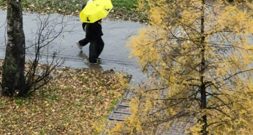 Последняя неделя ноября в Набережных Челнах будет дождливой