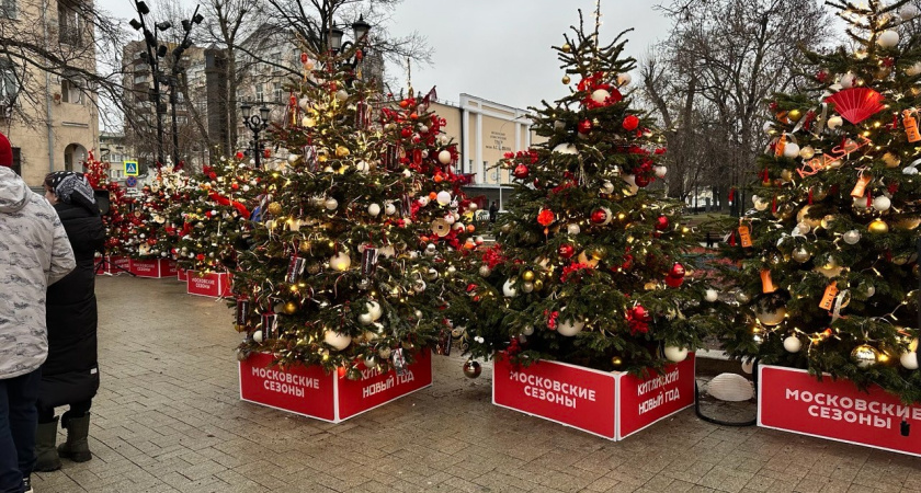 Новогодние праздники переносят: зимние каникулы 2025–2026 года уже не будут такими, как раньше