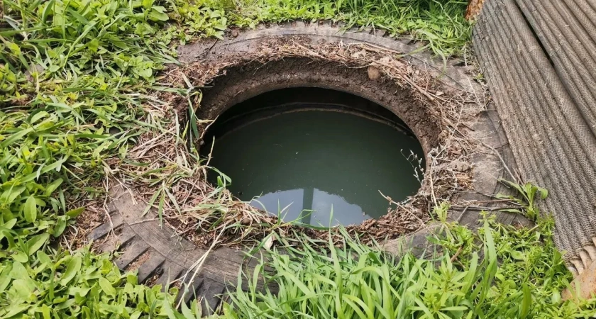 Осенью септик не откачивайте: лейте этот раствор в выгребную яму — проблема рассосется сама