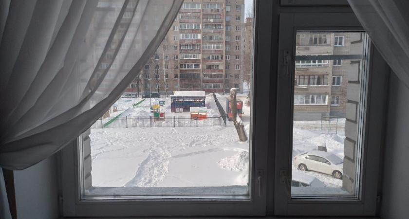 Ставлю на подоконник одну вещь и всю зиму живу спокойно: в доме тепло даже в -40°C и пахнет сибирским лесом