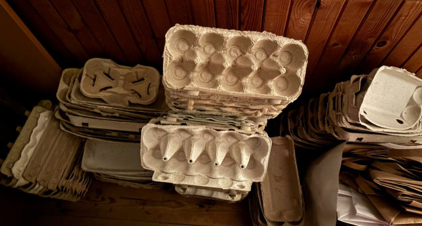 Лотки от яиц не выбрасываю - берегу как зеницу ока: незаменимые помощники в огороде в новом сезоне