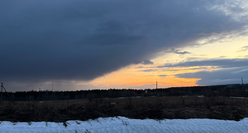 Многодетные Набережных Челнов собирают подписи за бесплатную землю