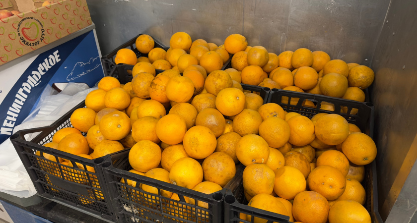 Опытные хозяйки никогда не отправят в мусор мандариновую кожуру: вот как ее используют - берите на заметку