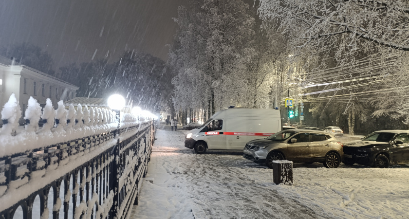 Натираю лобовое стекло этим овощем и забываю о наледи - всю зиму езжу без забот и проблем