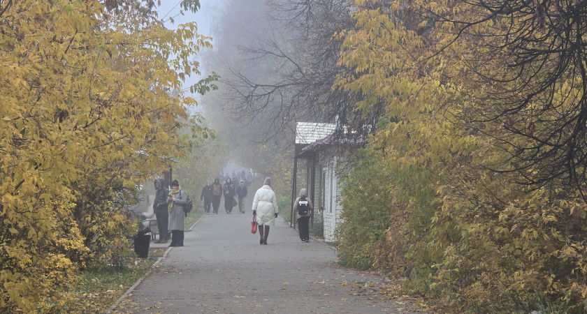 Туман и гололедицу возможны в Набережных Челнах 1 декабря