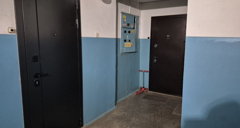 Пенсионерка в Челнах отсудила квартиру, но спрятала деньги