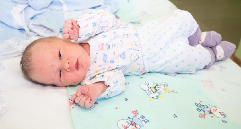 Гектар и Вирсавия появились на свет в Татарстане в ноябре