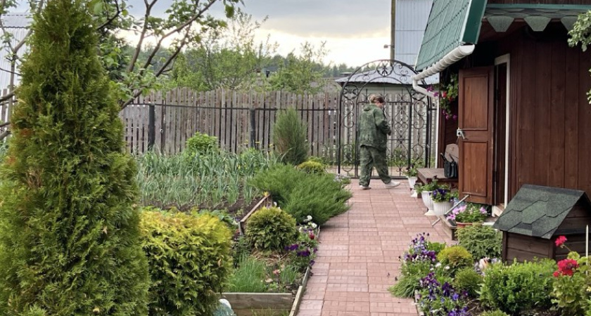 Никогда не сажайте эти 6 деревьев на дачном участке: глупо и опасно - запрещал еще Мичурин