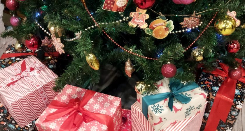 4 ложки на ведро — и символ Нового года простоит 2 месяца: «Живая вода» для вашей елочки