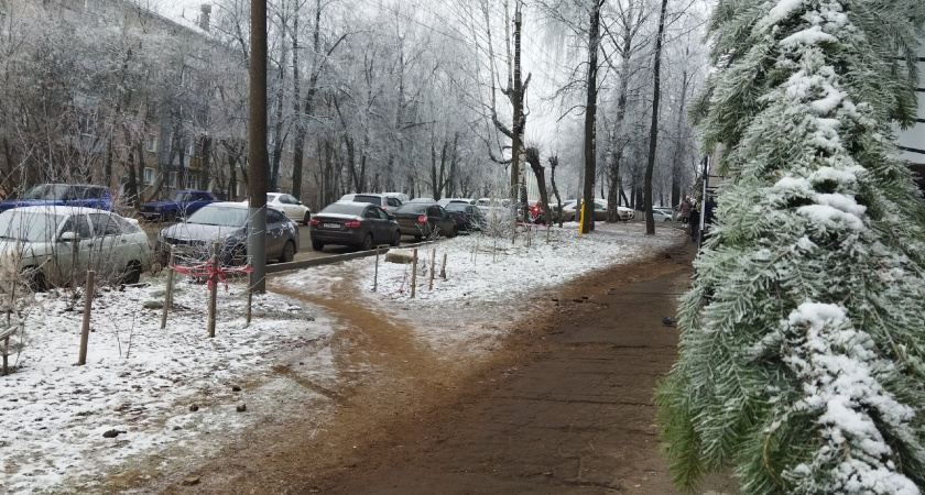 Ноябрь без снега и с рекордным теплом в Татарстане встревожил метеорологов