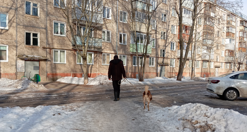 В Замелекесье могут построить зону для выгула собак