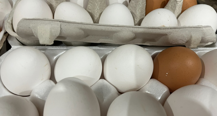 Ни в коем случае не выкидайте скорлупу от яиц: пригодится и в быту, и для красоты