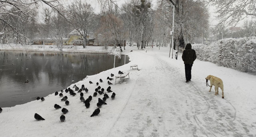 "Сердцу всё равно, сколько километров вы ходите": академик Умаров объяснил, что на самом деле важно для здоровья после 50 лет