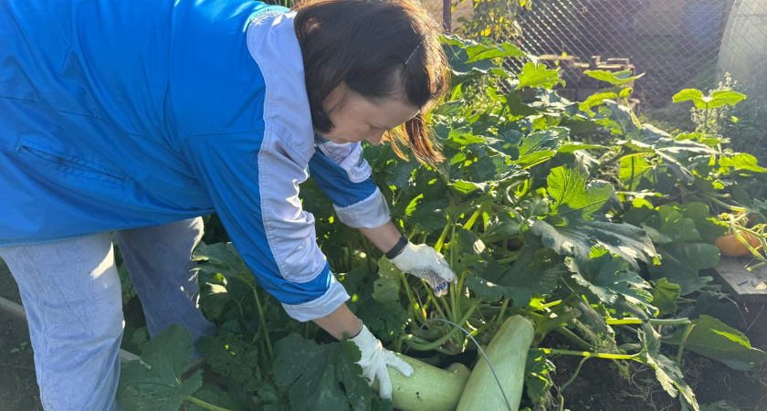 Почему я никогда и никого не прошу помогать мне с огородом - и вам советую
