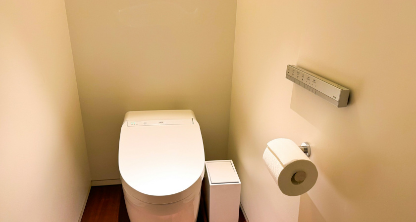 Почему японцы садятся на унитаз лицом вперед: причина поражает — но логика в этом есть