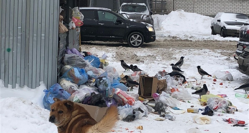 В Челнах камеры поймали пятерых нарушителей, мусоривших у контейнеров