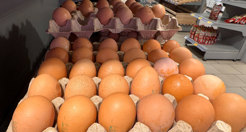 Обходят стороной: почему работники магазинов и птицефабрик не берут для себя яйца категории СО - даже со скидкой