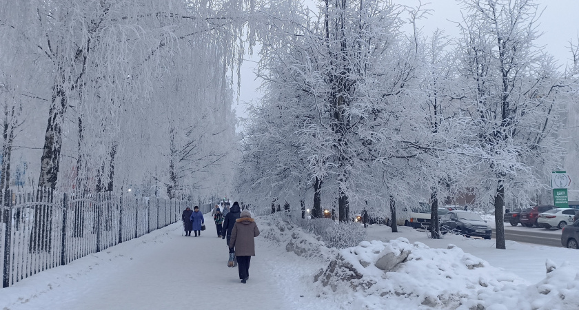Климатолог КФУ объяснил, почему в Татарстане декабрь теперь теплый