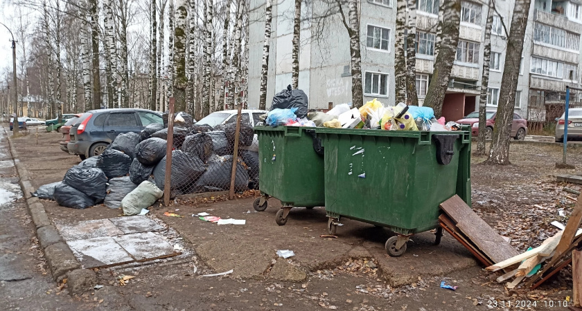 Мусорный полигон под Челнами не откроют без экологической проверки