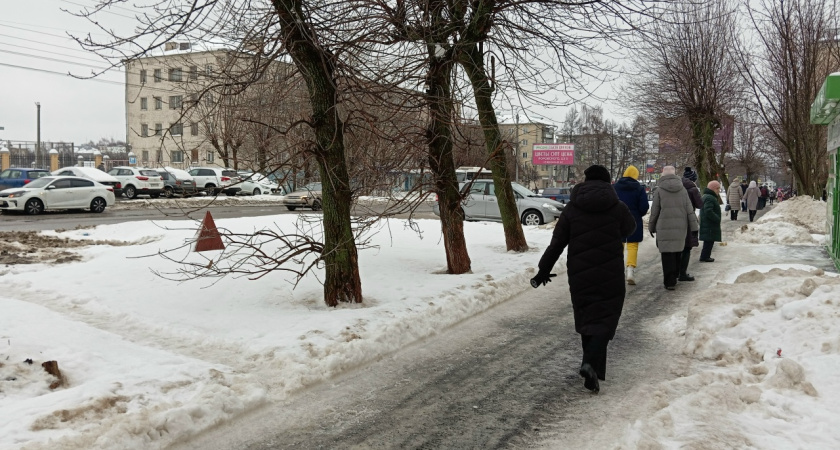 Ветер усилится, иней растает: жителей Татарстана ожидают метель и гололед