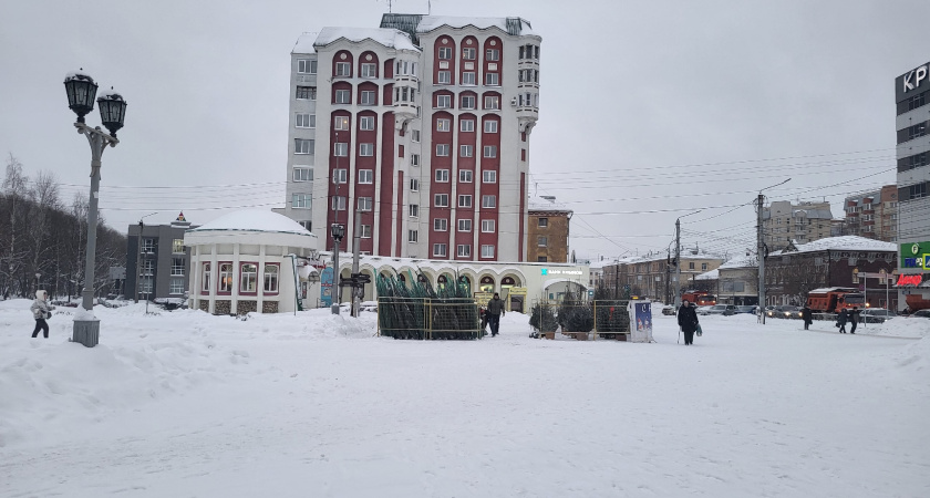 В Набережных Челнах оштрафовали торговцев елками без разрешения