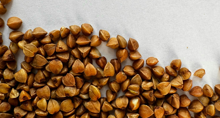 Россияне могут гордиться: немецкий фермер объяснил истинную причину, почему в Европе не едят гречку