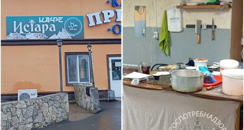 Кафе в Алькеевском районе закрыли из-за салата с бактериями