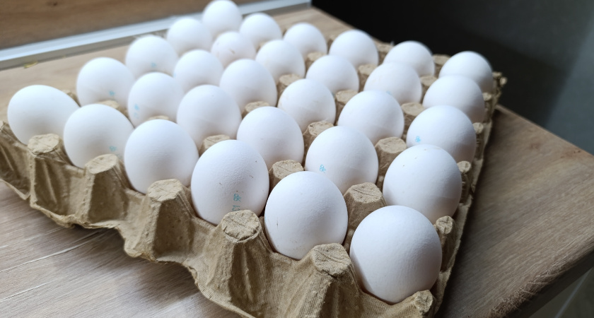 Не выбрасывайте лотки из-под яиц: 3 простых способа превратить мусор в незаменимого помощника