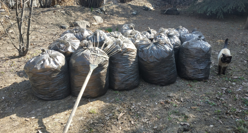 Экологи заставили расчистить в Набережных Челнах свалку размером с баскетбольную площадку